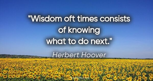 Herbert Hoover quote: "Wisdom oft times consists of knowing what to do next."