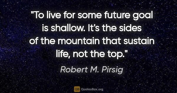Robert M. Pirsig quote: "To live for some future goal is shallow. It's the sides of the..."