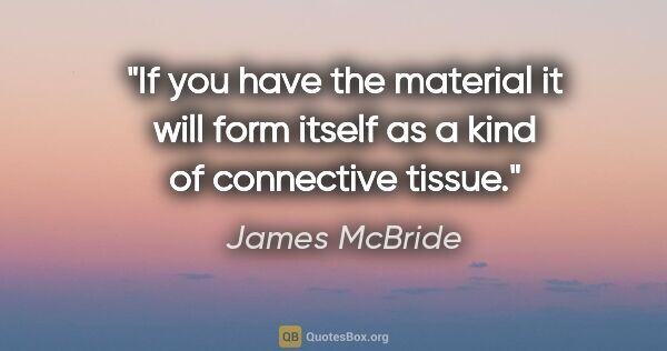 James McBride quote: "If you have the material it will form itself as a kind of..."