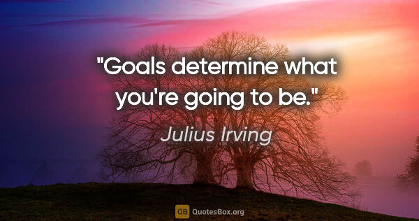 Julius Irving quote: "Goals determine what you're going to be."
