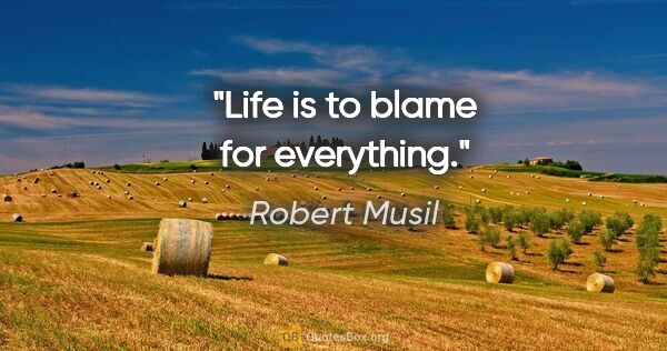 Robert Musil quote: "Life is to blame for everything."
