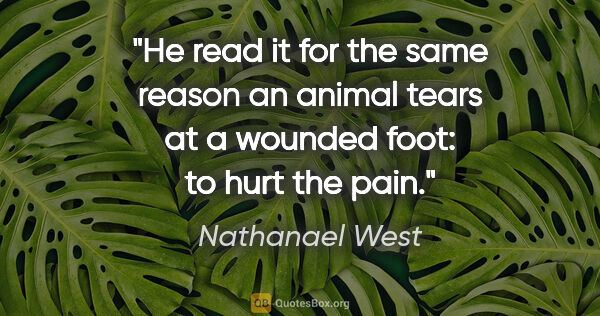 Nathanael West quote: "He read it for the same reason an animal tears at a wounded..."