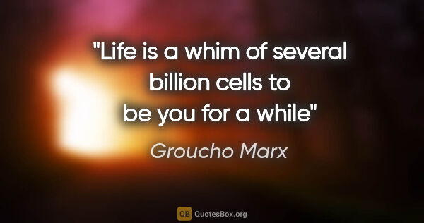 Groucho Marx quote: "Life is a whim of several billion cells to be you for a while"