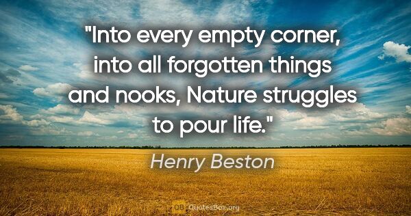 Henry Beston quote: "Into every empty corner, into all forgotten things and nooks,..."