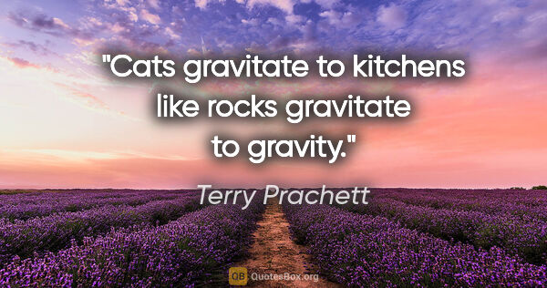 Terry Prachett quote: "Cats gravitate to kitchens like rocks gravitate to gravity."