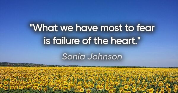 Sonia Johnson quote: "What we have most to fear is failure of the heart."