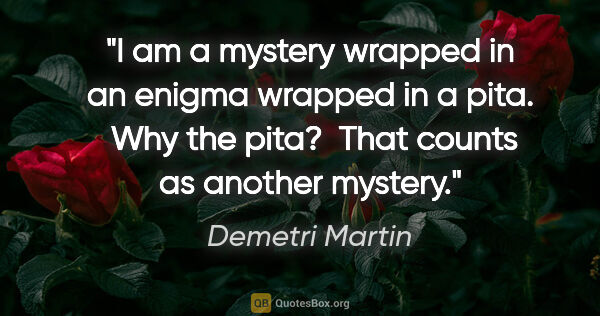 Demetri Martin quote: "I am a mystery wrapped in an enigma wrapped in a pita.  Why..."