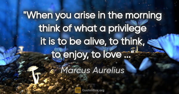 Marcus Aurelius quote: "When you arise in the morning think of what a privilege it is..."