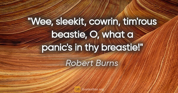Robert Burns quote: "Wee, sleekit, cowrin, tim'rous beastie, O, what a panic's in..."