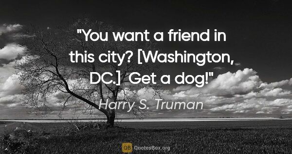 Harry S. Truman quote: "You want a friend in this city? [Washington, DC.]  Get a dog!"