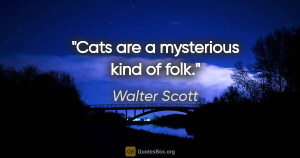 Walter Scott quote: "Cats are a mysterious kind of folk."