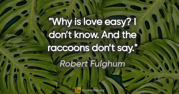Robert Fulghum quote: "Why is love easy? I don’t know. And the raccoons don’t say."