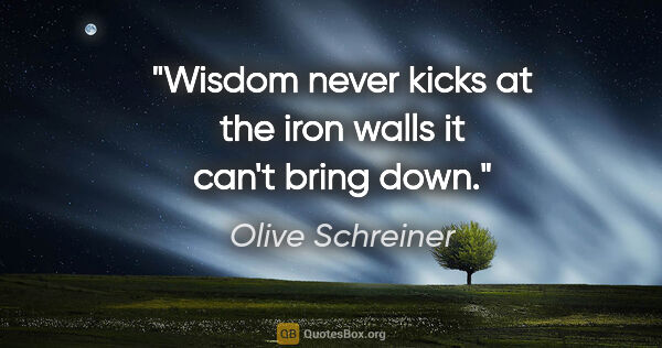 Olive Schreiner quote: "Wisdom never kicks at the iron walls it can't bring down."