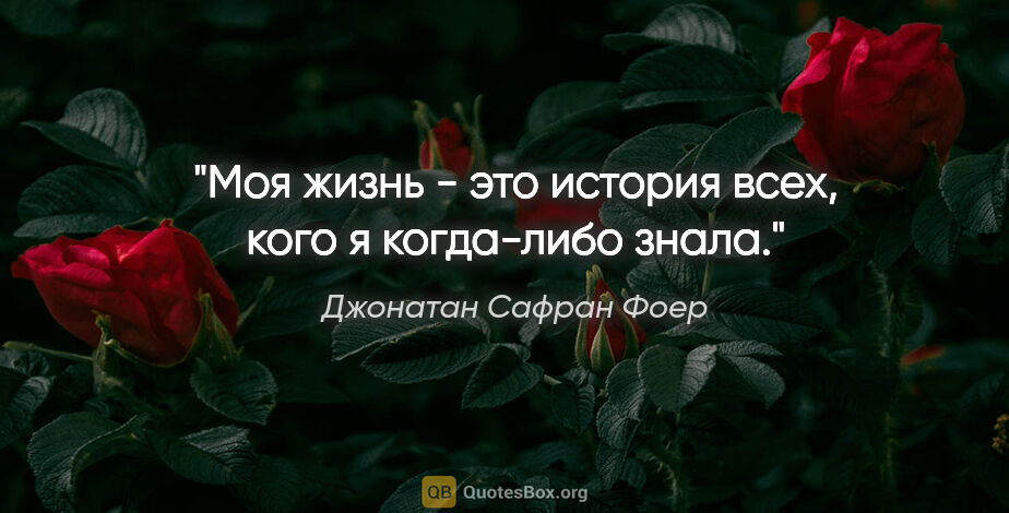 Джонатан Сафран Фоер цитата: "Моя жизнь - это история всех, кого я когда-либо знала."