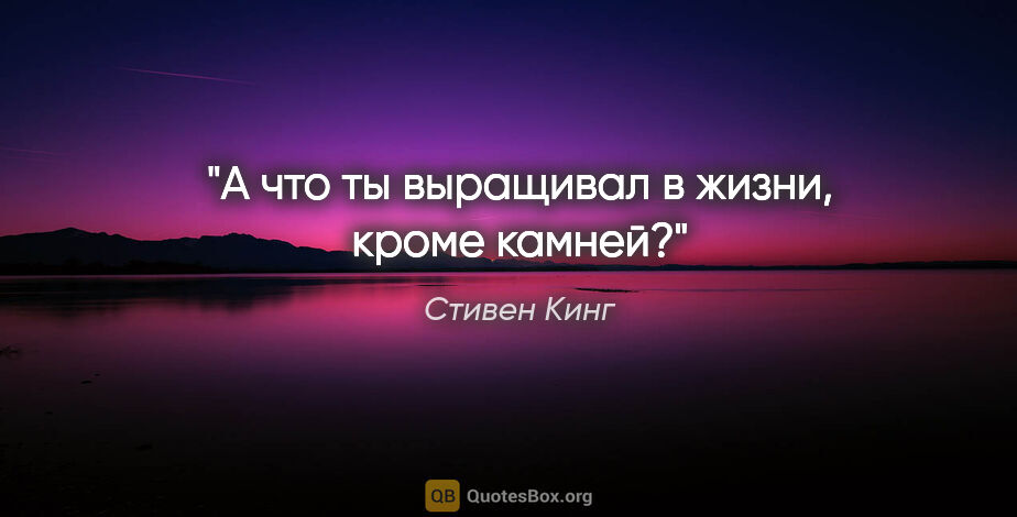 Стивен Кинг цитата: "А что ты выращивал в жизни, кроме камней?"