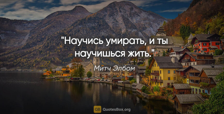 Митч Элбом цитата: "Научись умирать, и ты научишься жить."