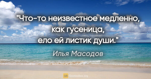 Илья Масодов цитата: "Что-то неизвестное медленно, как гусеница, ело ей листик души."