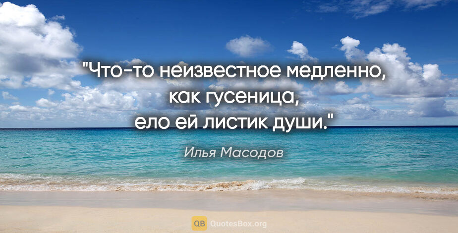 Илья Масодов цитата: "Что-то неизвестное медленно, как гусеница, ело ей листик души."