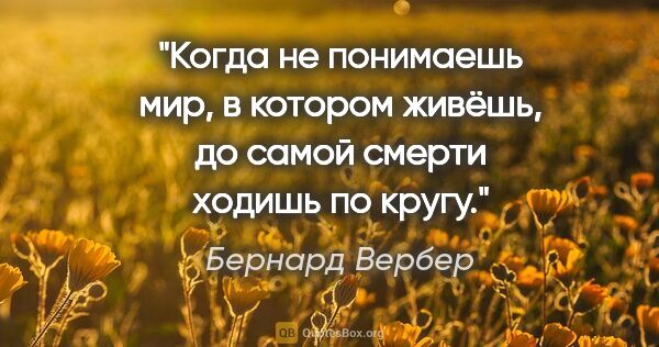 Бернард Вербер цитата: "Когда не понимаешь мир, в котором живёшь, до самой смерти..."