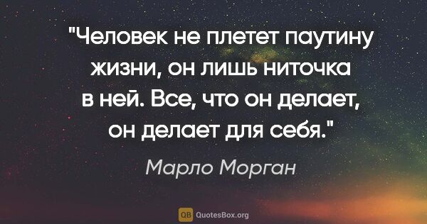 Марло Морган цитата: "Человек не плетет паутину жизни, он лишь ниточка в ней. Все,..."