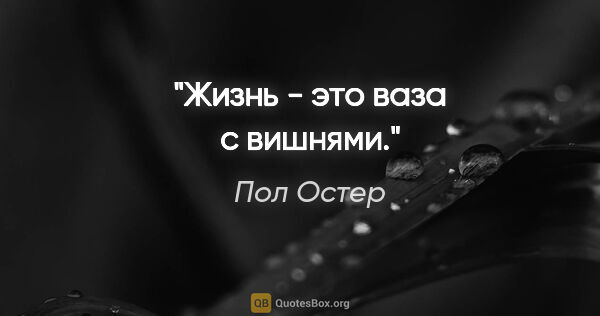 Пол Остер цитата: "Жизнь - это ваза с вишнями."