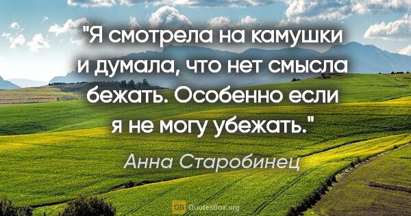 Анна Старобинец цитата: "Я смотрела на камушки и думала, что нет смысла..."