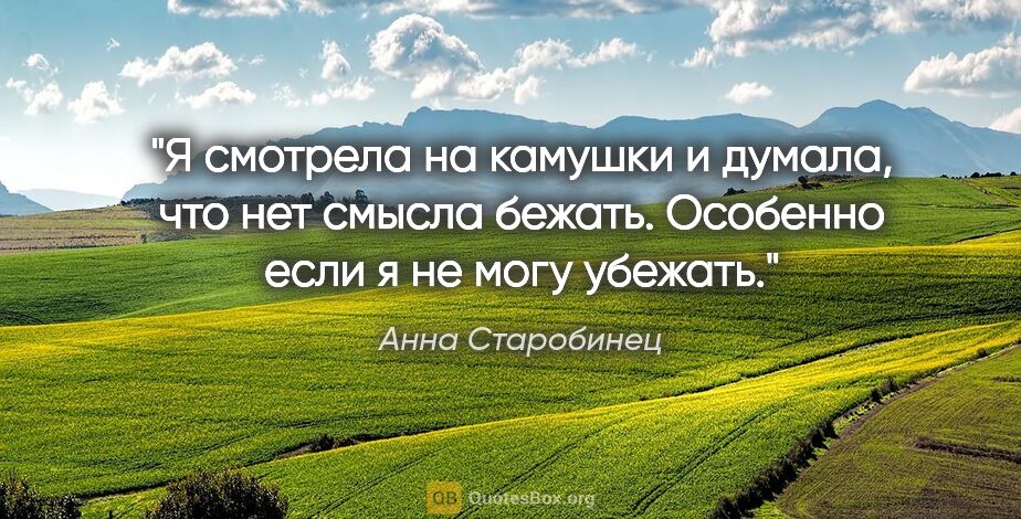 Анна Старобинец цитата: "Я смотрела на камушки и думала, что нет смысла..."