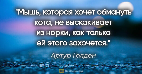 Артур Голден цитата: "Мышь, которая хочет обмануть кота, не выскакивает из норки,..."