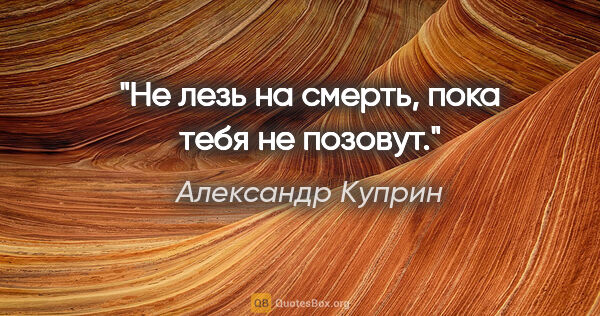 Александр Куприн цитата: "Не лезь на смерть, пока тебя не позовут."