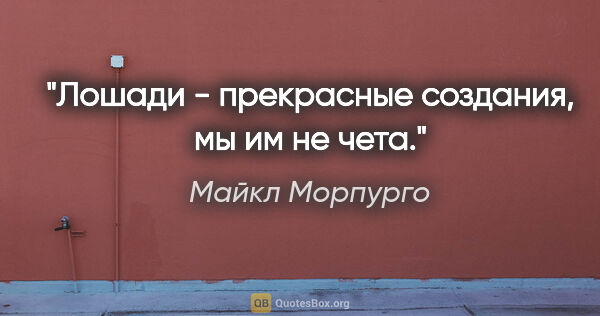 Майкл Морпурго цитата: "Лошади - прекрасные создания, мы им не чета."