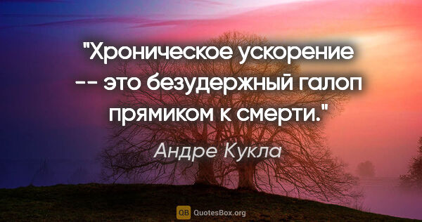 Андре Кукла цитата: "Хроническое ускорение -- это безудержный галоп прямиком к смерти."