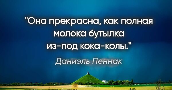 Даниэль Пеннак цитата: "Она прекрасна, как полная молока бутылка из-под кока-колы."