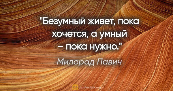 Милорад Павич цитата: "Безумный живет, пока хочется, а умный – пока нужно."