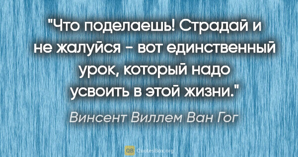 Винсент Виллем Ван Гог цитата: "Что поделаешь! Страдай и не жалуйся - вот единственный урок,..."