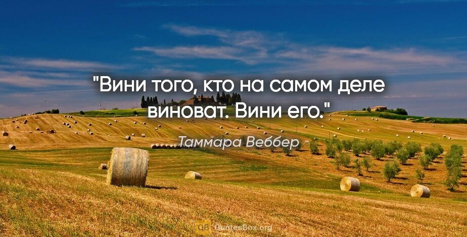 Таммара Веббер цитата: "Вини того, кто на самом деле виноват. Вини его."