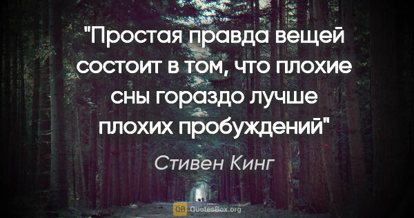 Стивен Кинг цитата: "Простая правда вещей состоит в том, что плохие сны гораздо..."