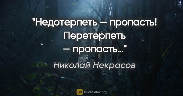 Николай Некрасов цитата: "Недотерпеть — пропасть!

Перетерпеть — пропасть…"