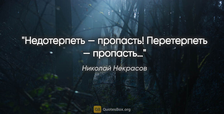 Николай Некрасов цитата: "Недотерпеть — пропасть!

Перетерпеть — пропасть…"