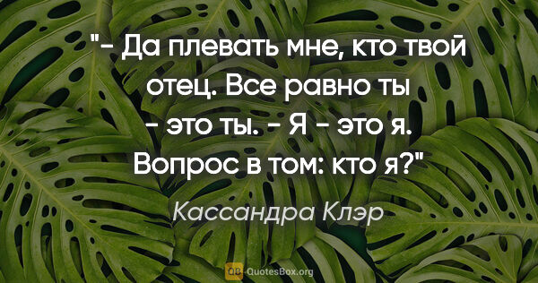 Кассандра Клэр цитата: "- Да плевать мне, кто твой отец. Все равно ты - это ты.

- Я -..."