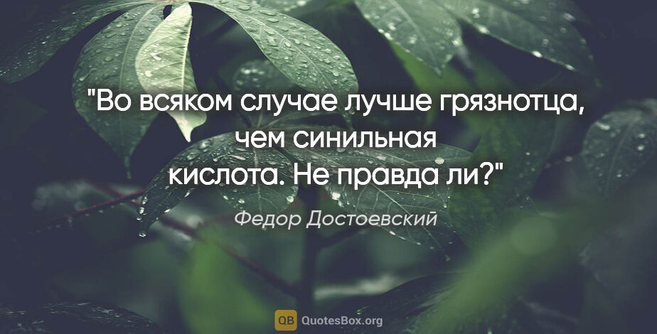 Федор Достоевский цитата: "Во всяком случае лучше грязнотца, чем синильная кислота. Не..."