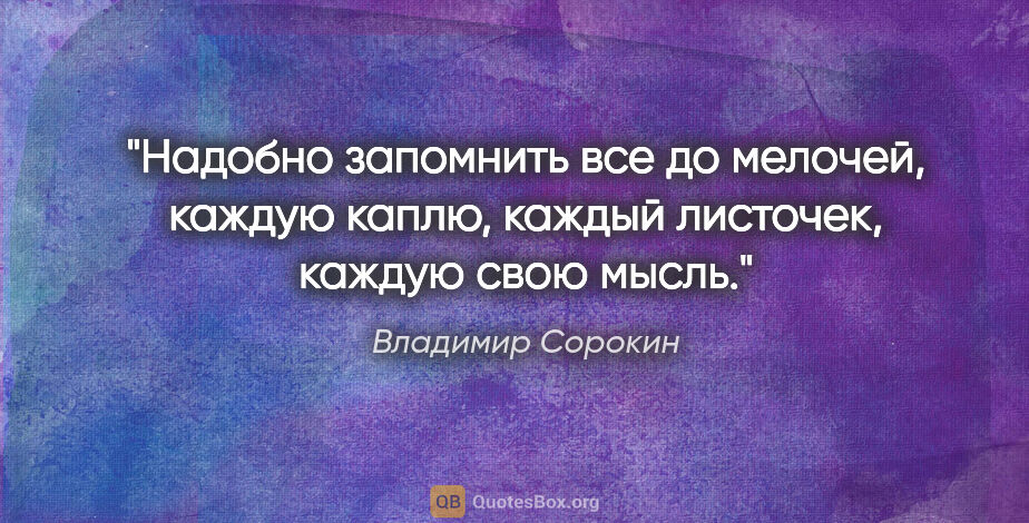 Владимир Сорокин цитата: "Надобно запомнить все до мелочей, каждую каплю, каждый..."
