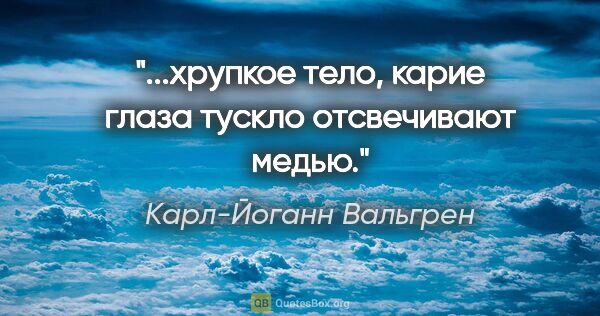 Карл-Йоганн Вальгрен цитата: "...хрупкое тело, карие глаза тускло отсвечивают медью."