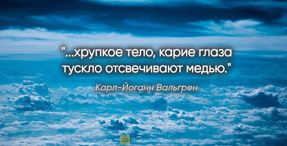 Карл-Йоганн Вальгрен цитата: "...хрупкое тело, карие глаза тускло отсвечивают медью."