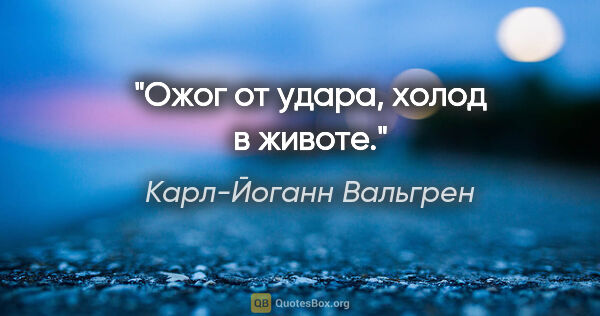 Карл-Йоганн Вальгрен цитата: "Ожог от удара, холод в животе."