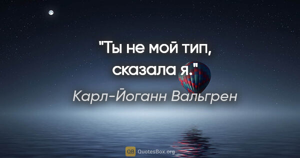 Карл-Йоганн Вальгрен цитата: "Ты не мой тип, сказала я."