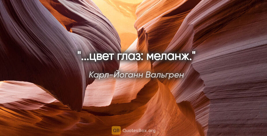 Карл-Йоганн Вальгрен цитата: "...цвет глаз: меланж."