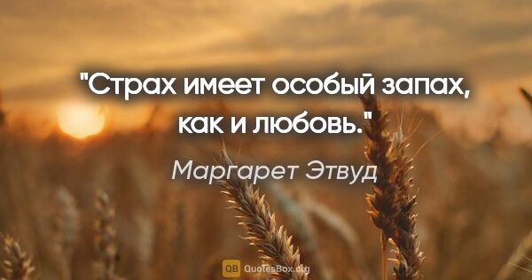 Маргарет Этвуд цитата: "Страх имеет особый запах, как и любовь."