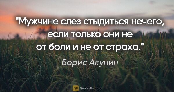 Борис Акунин цитата: "Мужчине слез стыдиться нечего, если только они не от боли и не..."