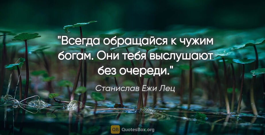 Станислав Ежи Лец цитата: "Всегда обращайся к чужим богам. Они тебя выслушают без очереди."