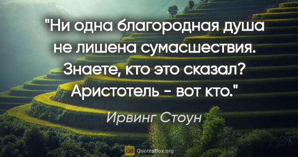 Ирвинг Стоун цитата: ""Ни одна благородная душа не лишена сумасшествия". Знаете, кто..."